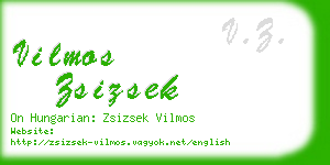 vilmos zsizsek business card